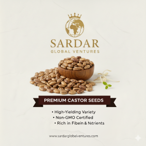 Castor Seeds