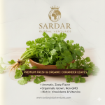 Coriander Leaves