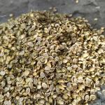 CORIANDER