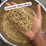 CORIANDER