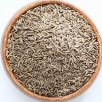 Cumin Seeds (Jeera)
