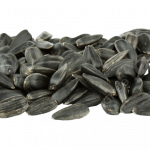 Gold Sunflower Seeds