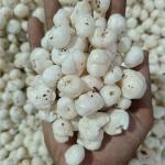Makhana
