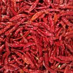 Red Chili